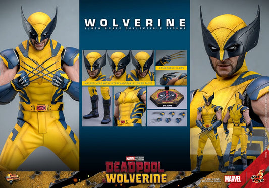 Deadpool & Wolverine Movie Masterpiece figurine 1/6 Wolverine 31 cm